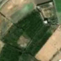 باغ-انار-280-متری-در-ورجان