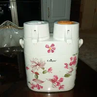 فلاکس دوقلو یونیک اصل