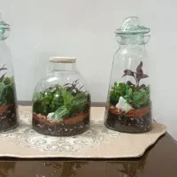 تراریوم /گل طبیعی/گیفت/شمع یلدا