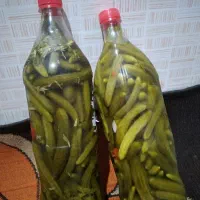 خوردنی|خوردنی و آشامیدنی|بندرعباس, |دیوار