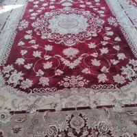 فرش ۱۲متری|فرش|الیگودرز, |دیوار