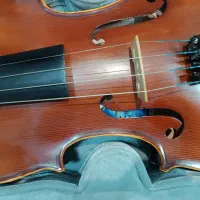 ویولن tf مدل ۱۴۲ در حد نو|ویولن|یزد, |دیوار