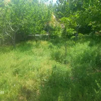 کلیه امور باغبانی هرس.علفزنی.سم پاشی کاشت نهال|خدمات باغبانی و درختکاری|هشتگرد, شهرک ولیعصر (مصلی)|دیوار