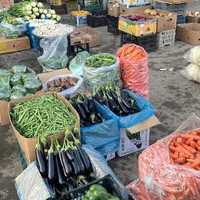 پخش تره بار با ارسال رایگان و بهترین کیفیت|خوردنی و آشامیدنی|اسلامشهر, زرافشان|دیوار