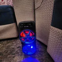 اسپیکر با طرح خرچنگی