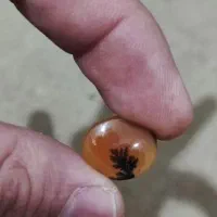 سنگ شجر|کلکسیون اشیاء عتیقه|کرمانشاه, |دیوار