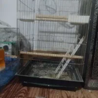 قفس کاسکو پرنده عروس هلندی قفس بزرگ