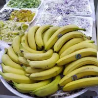 تور زمینی کربلا (۱۳و۱۵و ۲۰و۲۵و ۳۰ آبان)|تور و چارتر|زنجان, |دیوار