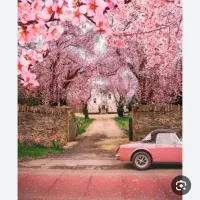 کیف قهوه ای مدارک گمشده