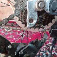 دوچرخه ۲۶|دوچرخه، اسکیت، اسکوتر|شیراز, بید زرد|دیوار