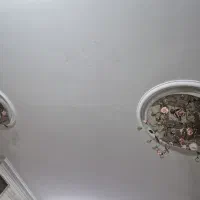 لوستر سقفی یک جفت