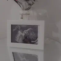قاب عکس موزیکال