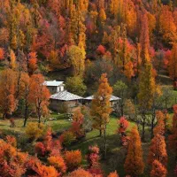 زمین-مسکونی-بیضا-پشت-باغ