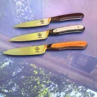 چاقوی دم دستی استیل ضد زنگ  دسته کائوچو VAREIL