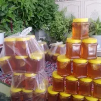 عسل گون اصلی ساکروز زیر ۳ بومی کرمانشاه
