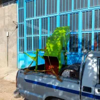 علوفه خردکن، اسیاب چکشی، دستگاه دوکاره|ماشینآلات صنعتی|نیشابور, دربقاضی|دیوار