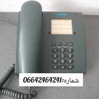 شماره خط ثابت رند