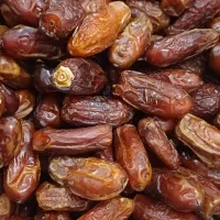 خرمای خشک ،قصب و شاهانی|خوردنی و آشامیدنی|بندرعباس, |دیوار