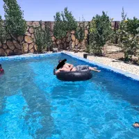 باغ فروشی توس 97 و شاهنامه 67