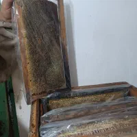 عسل(عمده و خرده)|خوردنی و آشامیدنی|تهران, امام زاده عبدالله|دیوار