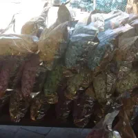 تولید کننده بستنی خشک فریز درایری