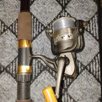 لنسر کینگ مگز امریکای