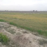 یک هکتار زمین کشاورزی با مجوز گلخانه در نظرآباد|فروش دفتر صنعتی، کشاورزی، تجاری|نظرآباد, احمد آباد|دیوار