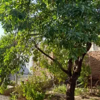 فروش منزل مسکونی درخاصبان