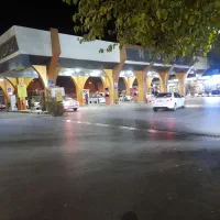 پامر پیدا شده