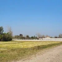 زمین کشاورزی|فروش زمین و ملک کلنگی|سنگر, |دیوار