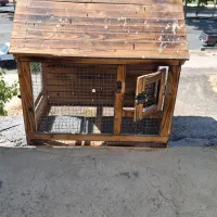 قفس قناری مرغ عشق...