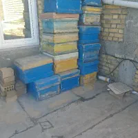 جعبه‌زنبور