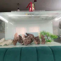 آکواریوم