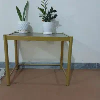 یک گل میز کاملا سالم