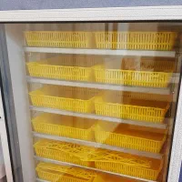 پذیرش تخم نطفه دار شراکتی