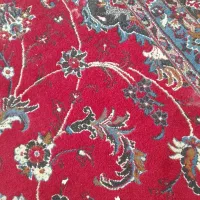 همخونه می شوم