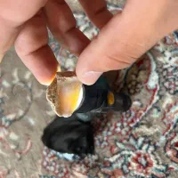 سنگ قیمتی|جواهرات|پیرانشهر, |دیوار