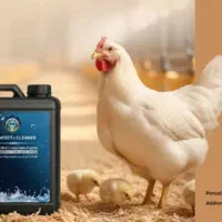 لوازم مرغداری هیتر ابخوری اتومات دستی و...