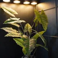 اجاره استودیو تولید محتوا|اجارهٔ کوتاه‌مدت دفتر کار و فضای آموزشی|شیراز, شهرک گلستان|دیوار