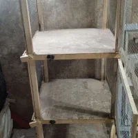 1دانه قفس جفتگاه همه چیز اوکی تو محکم سه طبقه 2950