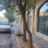 313متر-سهروردی-شمالی-نوبخت