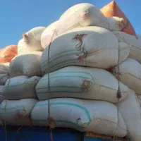 خریدوفروش کاه