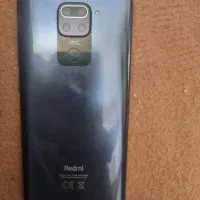 شیامی ۱۱ سالم