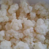 قارچ‌کفیر فعال گل کلمی