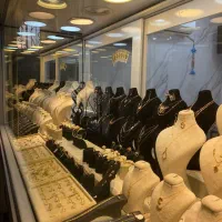 جواهری پویـا پاکدل