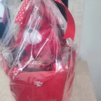 خرس بزرگ قرمز