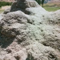 کاه و گزره