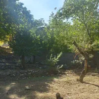 فروش زمین /۵۰۰متر/روستای ایگل