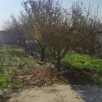 باغ توس ۹۷ معاوضه با خودرو|فروش زمین و ملک کلنگی|مشهد, صیدآباد|دیوار