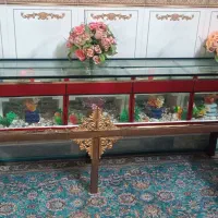 آکواریم ماهی